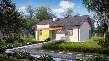 Lepa in funkcionalna pritlična hiša z dvema sobama in večjo kurilnico